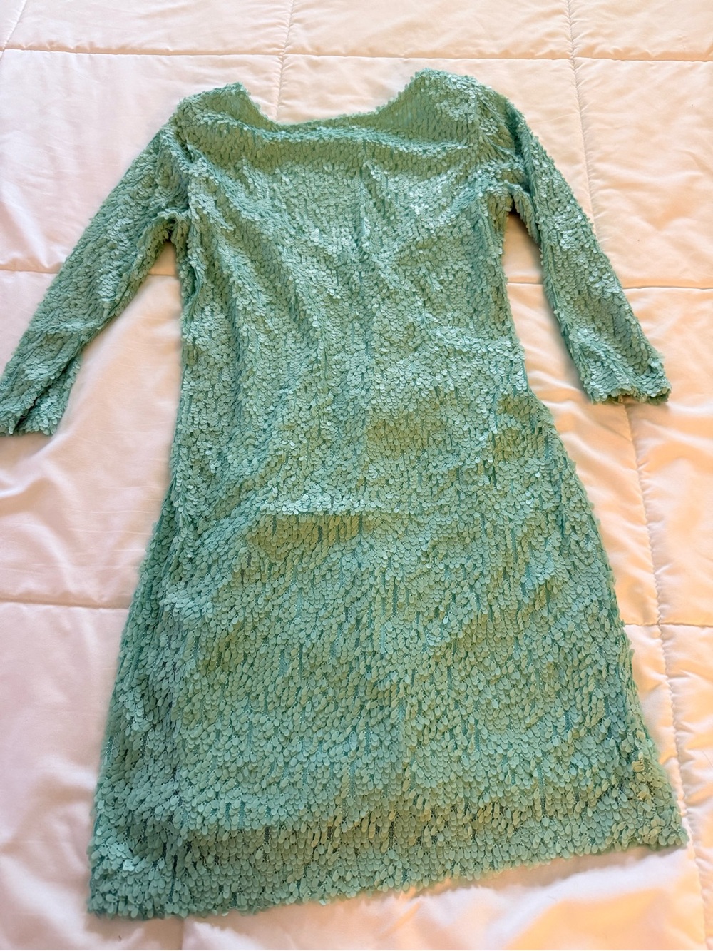 Light Green Textured Sequin Long Sleeve Women’s Dress